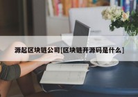 源起区块链公司[区块链开源码是什么]